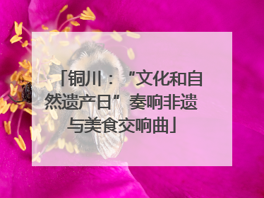 铜川：“文化和自然遗产日”奏响非遗与美食交响曲