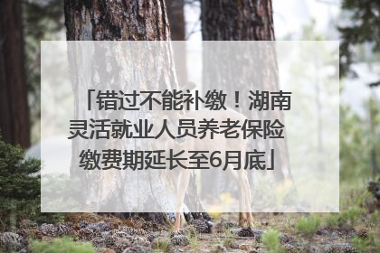 错过不能补缴！湖南灵活就业人员养老保险缴费期延长至6月底