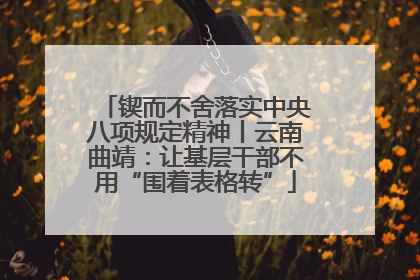 锲而不舍落实中央八项规定精神丨云南曲靖：让基层干部不用“围着表格转”