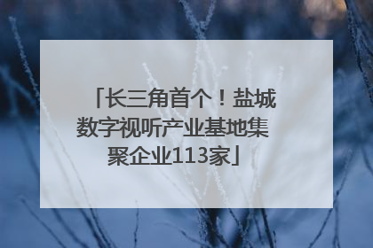 长三角首个！盐城数字视听产业基地集聚企业113家