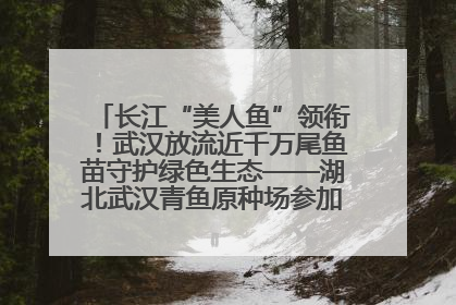 长江“美人鱼”领衔！武汉放流近千万尾鱼苗守护绿色生态——湖北武汉青鱼原种场参加2025年“全国放鱼日”增殖放流活动