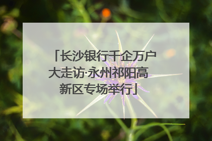 长沙银行千企万户大走访·永州祁阳高新区专场举行