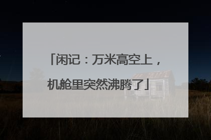 闲记：万米高空上，机舱里突然沸腾了