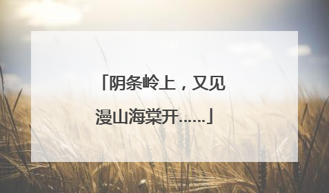阴条岭上，又见漫山海棠开……