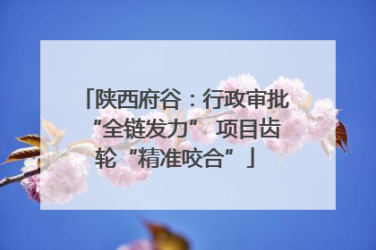 陕西府谷：行政审批“全链发力” 项目齿轮“精准咬合”