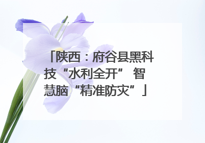 陕西：府谷县黑科技“水利全开” 智慧脑“精准防灾”