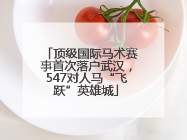 顶级国际马术赛事首次落户武汉，547对人马“飞跃”英雄城