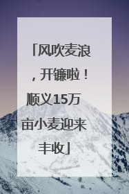 风吹麦浪，开镰啦！顺义15万亩小麦迎来丰收