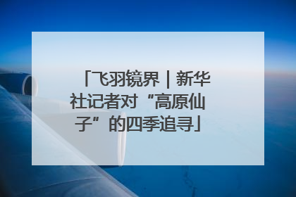 飞羽镜界｜新华社记者对“高原仙子”的四季追寻