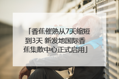 香蕉催熟从7天缩短到3天 新发地国际香蕉集散中心正式启用
