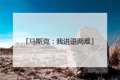 马斯克：我进退两难