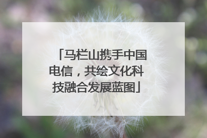 马栏山携手中国电信，共绘文化科技融合发展蓝图