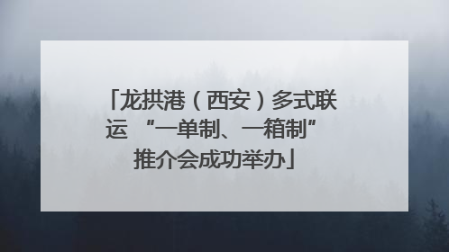 龙拱港（西安）多式联运 “一单制、一箱制” 推介会成功举办