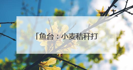 鱼台：小麦秸秆打捆离田综合利用