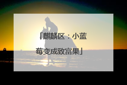 麒麟区：小蓝莓变成致富果