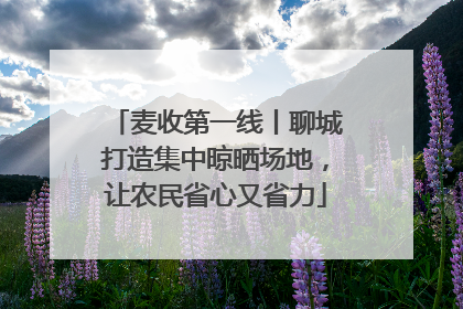 麦收第一线丨聊城打造集中晾晒场地，让农民省心又省力