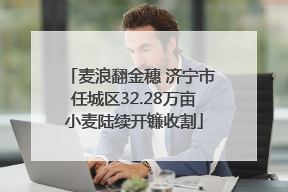 麦浪翻金穗 济宁市任城区32.28万亩小麦陆续开镰收割