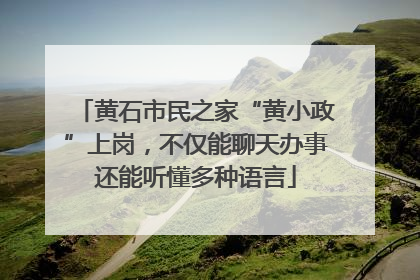 黄石市民之家“黄小政”上岗，不仅能聊天办事还能听懂多种语言