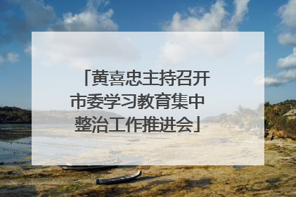 黄喜忠主持召开市委学习教育集中整治工作推进会