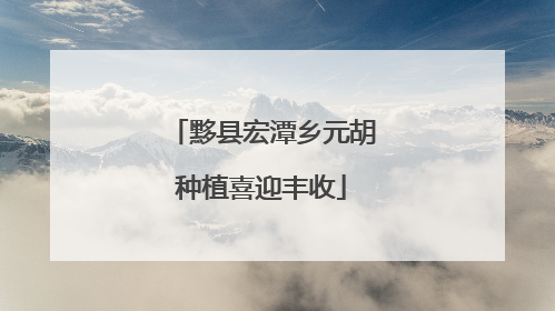 黟县宏潭乡元胡种植喜迎丰收