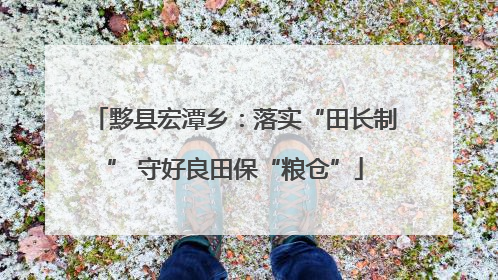 黟县宏潭乡：落实“田长制” 守好良田保“粮仓”