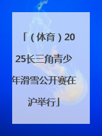 （体育）2025长三角青少年滑雪公开赛在沪举行