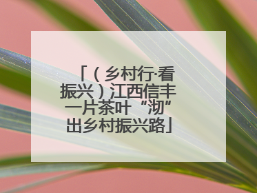 （乡村行·看振兴）江西信丰一片茶叶“沏”出乡村振兴路