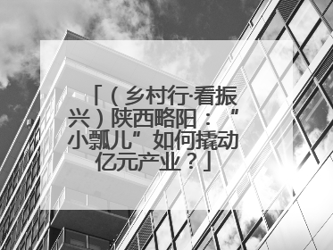 （乡村行·看振兴）陕西略阳：“小瓢儿”如何撬动亿元产业？