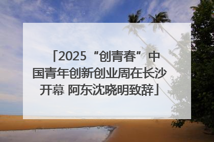 2025“创青春”中国青年创新创业周在长沙开幕 阿东沈晓明致辞