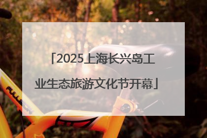 2025上海长兴岛工业生态旅游文化节开幕