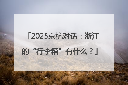 2025京杭对话：浙江的“行李箱”有什么？