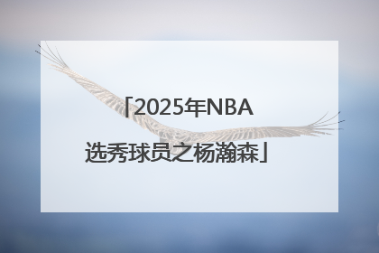 2025年NBA选秀球员之杨瀚森