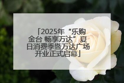 2025年“乐购金台 畅享万达”夏日消费季暨万达广场开业正式启幕