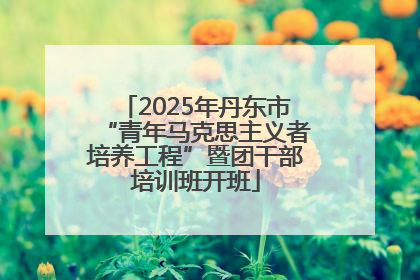 2025年丹东市“青年马克思主义者培养工程”暨团干部培训班开班