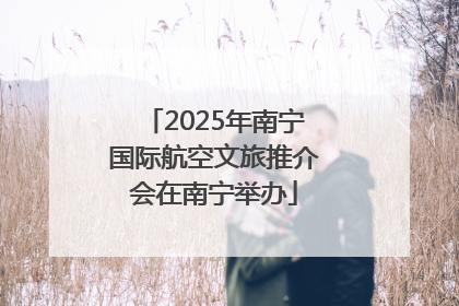 2025年南宁国际航空文旅推介会在南宁举办