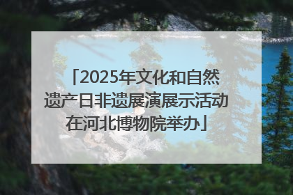 2025年文化和自然遗产日非遗展演展示活动在河北博物院举办