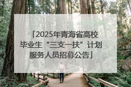 2025年青海省高校毕业生“三支一扶”计划服务人员招募公告