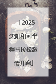 2025沈阳和河半程马拉松激情开跑