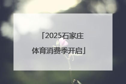 2025石家庄体育消费季开启