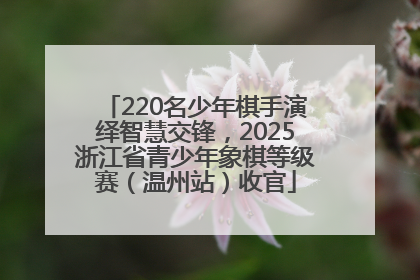 220名少年棋手演绎智慧交锋，2025浙江省青少年象棋等级赛（温州站）收官