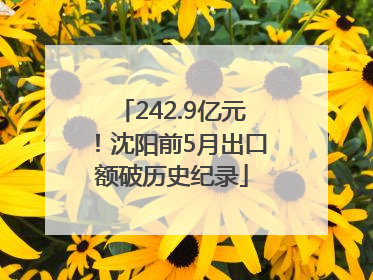 242.9亿元！沈阳前5月出口额破历史纪录