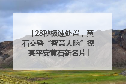 28秒极速处置，黄石交警“智慧大脑”擦亮平安黄石新名片