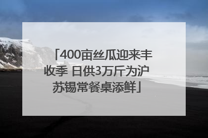 400亩丝瓜迎来丰收季 日供3万斤为沪苏锡常餐桌添鲜
