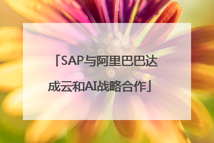 SAP与阿里巴巴达成云和AI战略合作