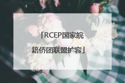 RCEP国家皖籍侨团联盟扩容